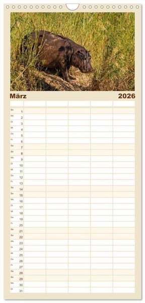 Produktbild: Familienplaner 2026 - Hippos - Gef&auml;hrliche Giganten mit 5 Spalten (Wandkalender, 21 x 45 cm) CALVENDO