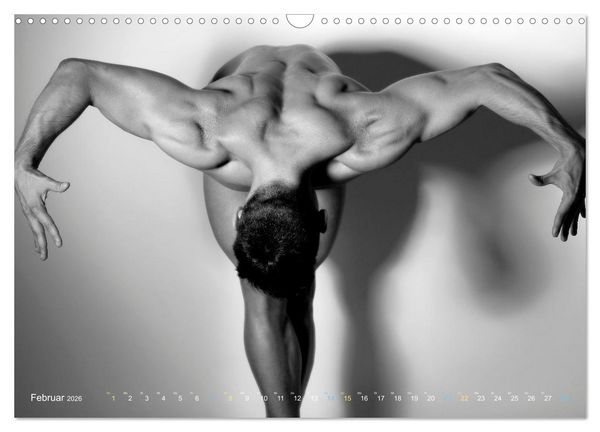 Produktbild: M&auml;nner... backview (Wandkalender 2026 DIN A3 quer), CALVENDO Monatskalender