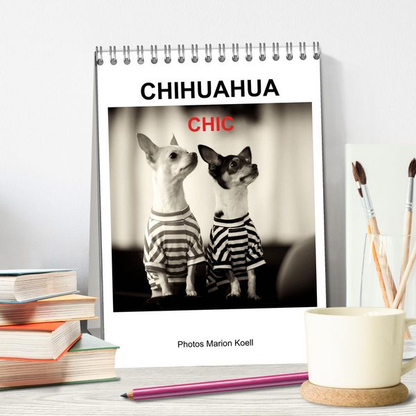 Produktbild: CHIHUAHUA CHIC Photos Marion Koell (Tischkalender 2026 DIN A5 hoch), CALVENDO Monatskalender