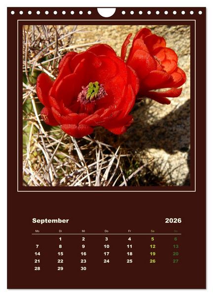 Produktbild: Wilde Kakteen Amerikas (Wandkalender 2026 DIN A4 hoch), CALVENDO Monatskalender