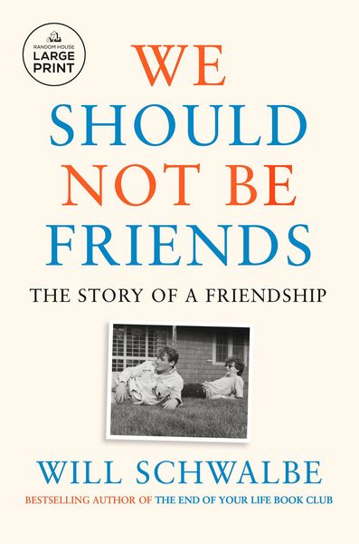 Produktbild: We Should Not Be Friends