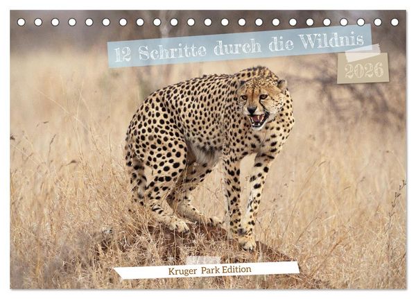 12 Schritte durch die Wildnis, Kruger Park Edition (Tischkalender 2026 DIN A5 quer), CALVENDO Monatskalender
