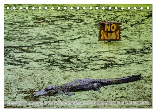 Produktbild: Florida. Sonne und Meer (Tischkalender 2026 DIN A5 quer), CALVENDO Monatskalender