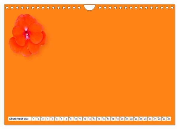 Produktbild: DIY POESIE - BASTELKALENDER (Wandkalender 2026 DIN A4 quer), CALVENDO Monatskalender