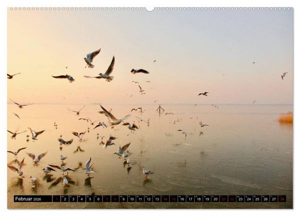 Produktbild: Das Meer bei Steinhude (Wandkalender 2026 DIN A2 quer), CALVENDO Monatskalender