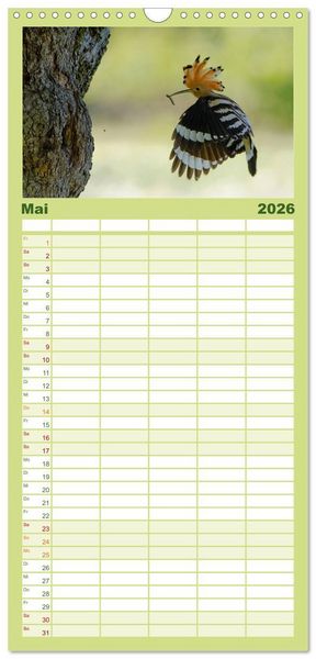Produktbild: Familienplaner 2026 - Wiedehopf mit 5 Spalten (Wandkalender, 21 x 45 cm) CALVENDO