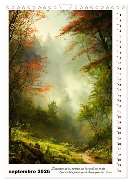 Produktbild: Chemins de fantaisie (Calendrier mural 2026 DIN A4 horizontal), CALVENDO calendrier mensuel