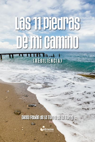 Produktbild: Las 11 piedras de mi camino