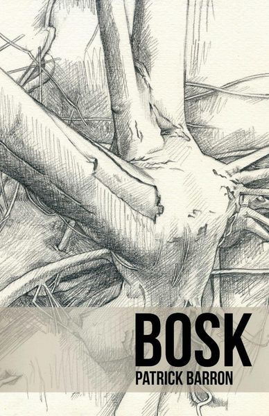 Produktbild: Bosk