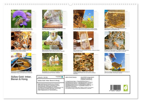 Produktbild: S&uuml;&szlig;es Gold: Imker, Bienen & Honig (hochwertiger Premium Wandkalender 2026 DIN A2 quer), Kunstdruck in Hochglanz