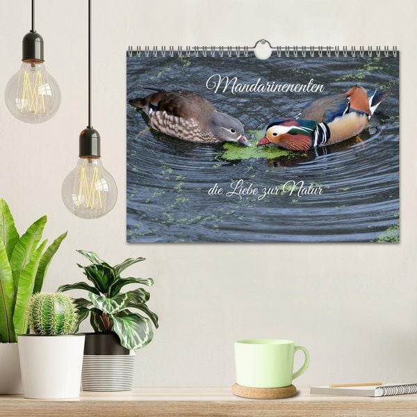 Produktbild: Mandarinenenten, die Liebe zur Natur (Wandkalender 2026 DIN A4 quer), CALVENDO Monatskalender