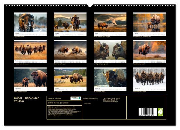 Produktbild: B&uuml;ffel - Ikonen der Wildnis (hochwertiger Premium Wandkalender 2026 DIN A2 quer), Kunstdruck in Hochglanz