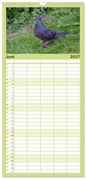 Produktbild: Familienplaner 2027 - Tauben in der Stadt mit 5 Spalten (Wandkalender, 21 x 45 cm) CALVENDO