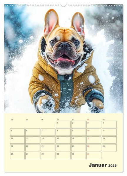 Produktbild: Lustige Flederm&auml;use. Franz&ouml;sische Bulldoggen bei der Freizeitgestaltung (Wandkalender 2026 DIN A2 hoch), CALVENDO Monatskalender