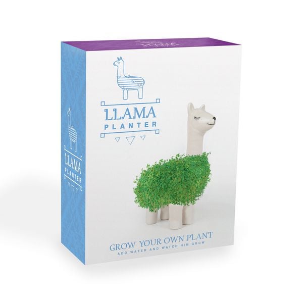 Produktbild: Llama Pflanztier Pflanzen-Set