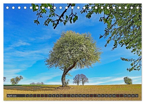 Produktbild: Karlsruhes Osten (Tischkalender 2026 DIN A5 quer), CALVENDO Monatskalender