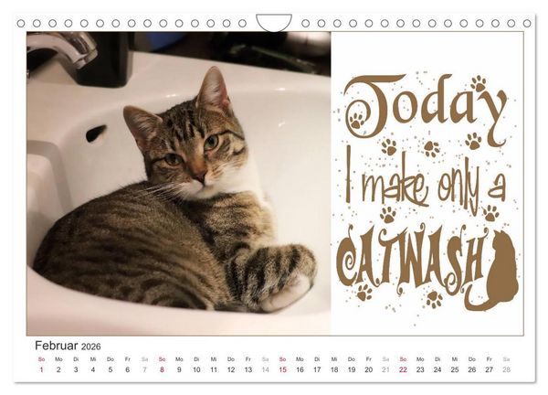 Produktbild: Tierisch Denglisch (Wandkalender 2026 DIN A4 quer), CALVENDO Monatskalender