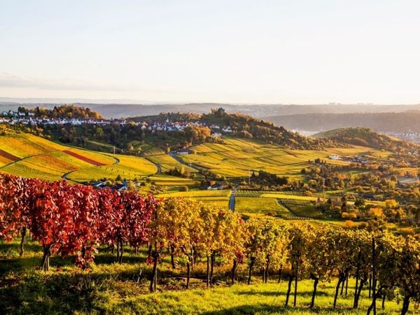 Produktbild: CALVENDO Puzzle Rotenberg mit der Grabkapelle auf dem W&uuml;rttemberg | 1000 Teile Lege-Gr&ouml;&szlig;e 64x48cm Foto-Puzzle f&uuml;r gl&uuml;ckliche Stunden