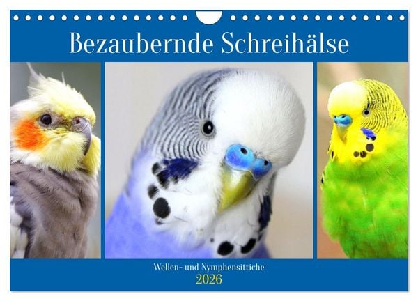 Bezaubernde Schreihälse. Wellen- und Nymphensittiche (Wandkalender 2026 DIN A4 quer), CALVENDO Monatskalender