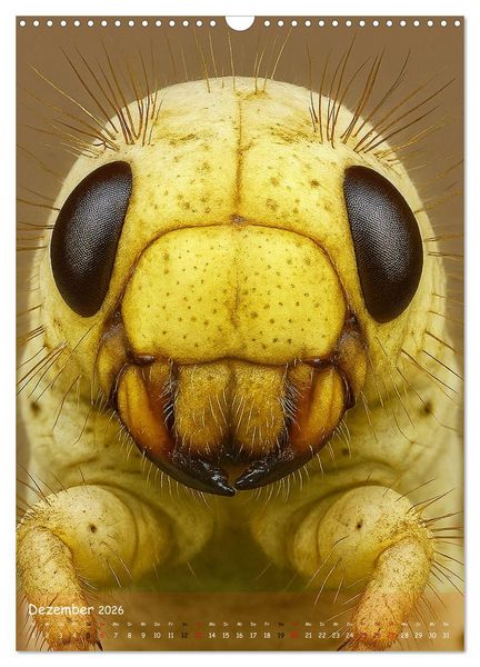 Produktbild: Makromonster - Sch&ouml;nheit im Detail (Wandkalender 2026 DIN A3 hoch), CALVENDO Monatskalender