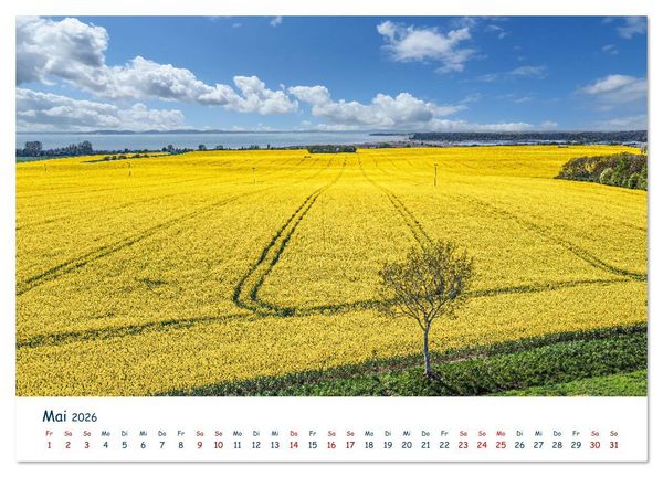 Produktbild: Verliebt in R&uuml;gen (Wandkalender 2026 DIN A2 quer), CALVENDO Monatskalender