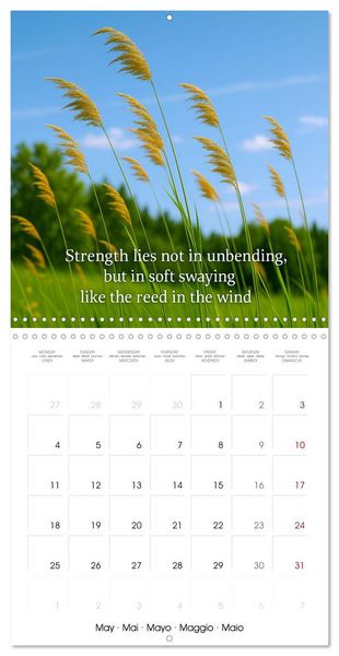 Produktbild: Let the moment guide you (Wall Calendar 2026 12 &times; 12 Inch) CALVENDO 12 Month Wall Calendar