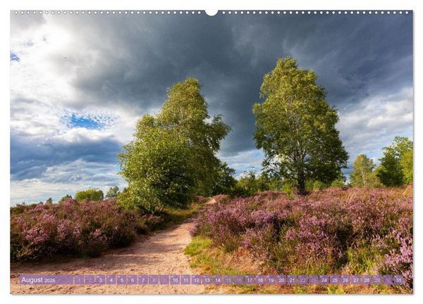Produktbild: Im Bl&uuml;tenrausch der L&uuml;neburger Heide (Wandkalender 2026 DIN A2 quer), CALVENDO Monatskalender