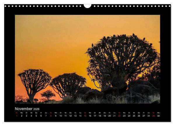 Produktbild: W&auml;lder, fotografiert auf vier Kontinenten (Wandkalender 2026 DIN A3 quer), CALVENDO Monatskalender