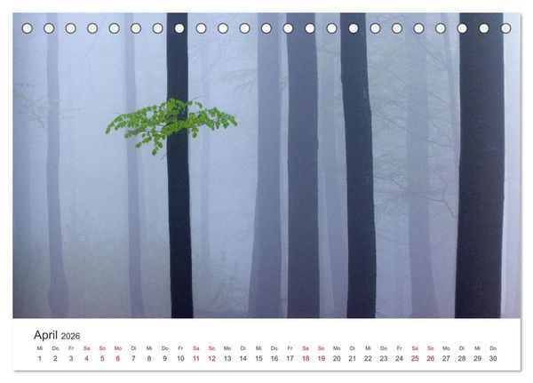 Produktbild: Im Deutschen Wald (Tischkalender 2026 DIN A5 quer), CALVENDO Monatskalender