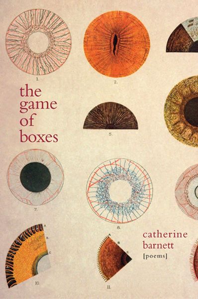 Produktbild: The Game of Boxes