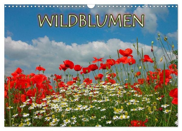 Produktbild: Wildblumen 2026 (Wandkalender 2026 DIN A3 quer), CALVENDO Monatskalender