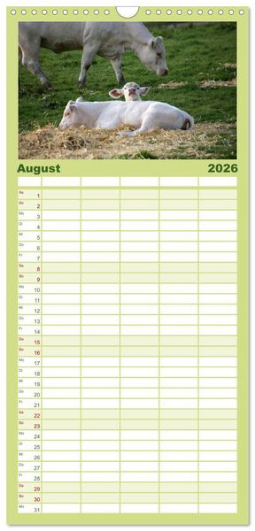 Produktbild: Familienplaner 2026 - Muuuhhh! mit 5 Spalten (Wandkalender, 21 x 45 cm) CALVENDO