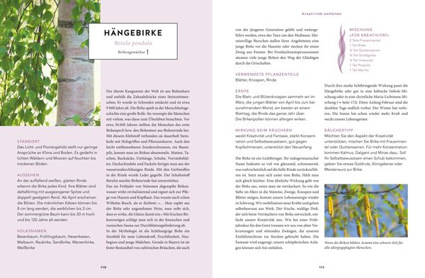 Heilsames Räuchern mit Wildpflanzen