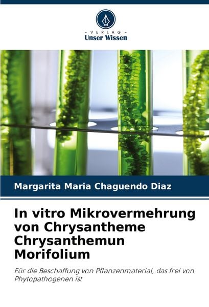 Produktbild: In vitro Mikrovermehrung von Chrysantheme Chrysanthemun Morifolium