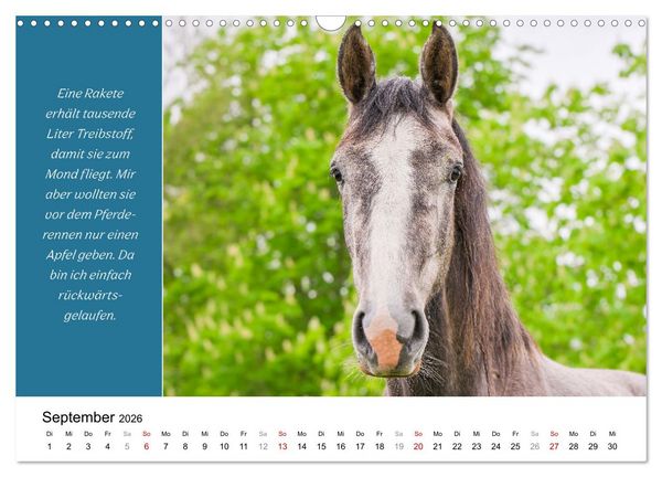 Produktbild: Tiere und feiner Humor (Wandkalender 2026 DIN A3 quer), CALVENDO Monatskalender