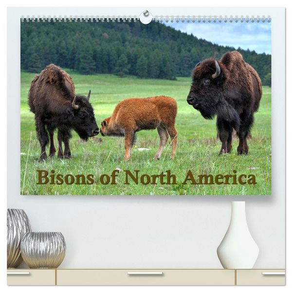 Bisons of North America (High Quality Premium Wall Calendar 2026 DIN A2 landscape),CALVENDO 12 Month Wall Calendar