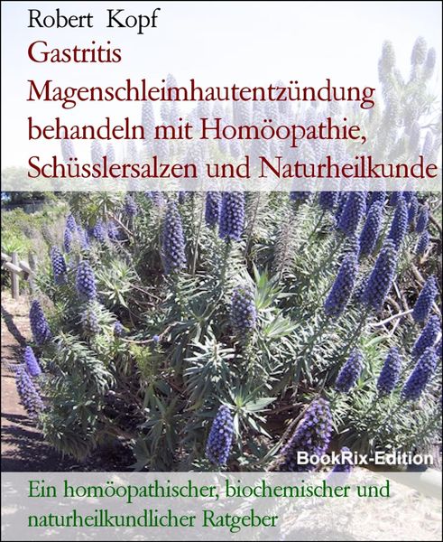 Produktbild: Gastritis Magenschleimhautentz&uuml;ndung behandeln mit Hom&ouml;opathie, Sch&uuml;sslersalzen und Naturheilkunde