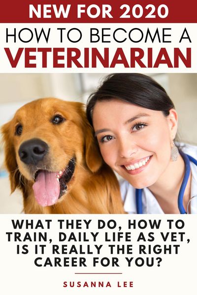 Produktbild: How to Become a Veterinarian