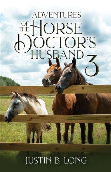 Produktbild: Adventures of the Horse Doctor's Husband 3