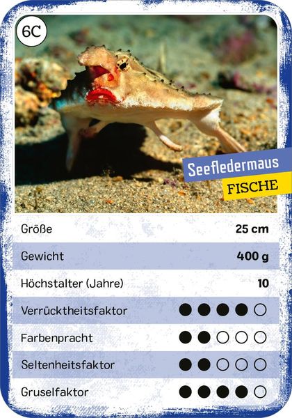 Produktbild: Das verr&uuml;ckte Quartett