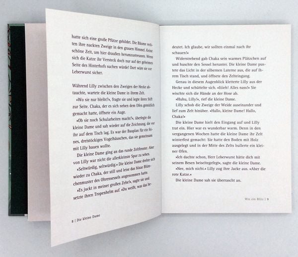 Die kleine Dame und der rote Prinz / Die kleine Dame Band 2
