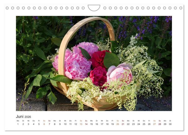 Produktbild: Blumen, Bl&uuml;ten, Dekoliebe (Wandkalender 2026 DIN A4 quer), CALVENDO Monatskalender