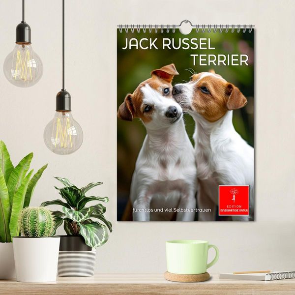 Produktbild: Jack Russel Terrier - furchtlos und viel Selbstvertrauen (Wandkalender 2026 DIN A4 hoch), CALVENDO Monatskalender