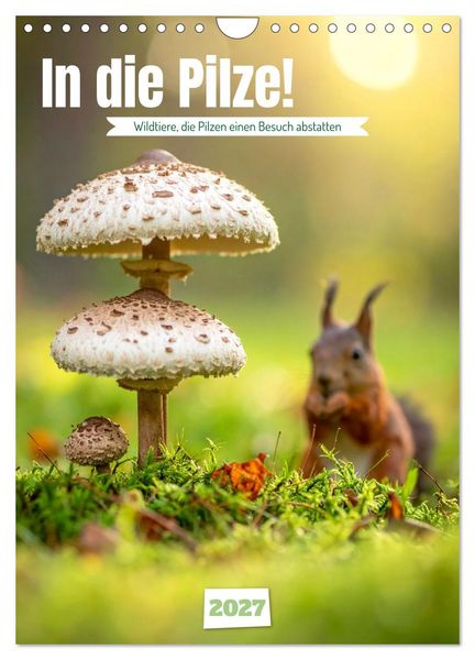 Produktbild: In die Pilze (Wandkalender 2027 DIN A4 hoch), CALVENDO Monatskalender