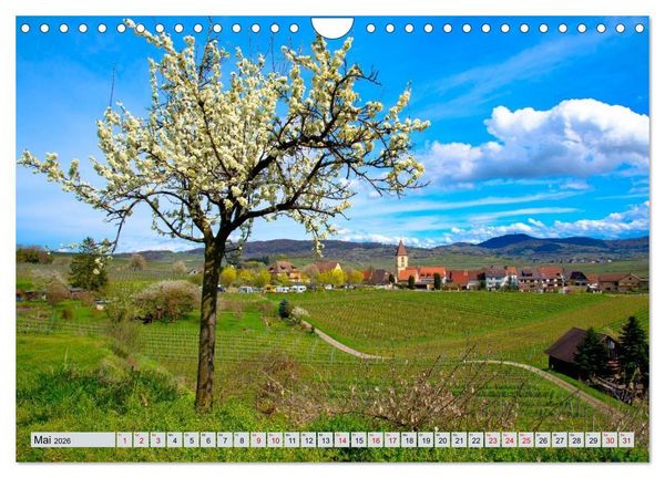 Produktbild: Weinregion Kaiserstuhl (Wandkalender 2026 DIN A4 quer), CALVENDO Monatskalender