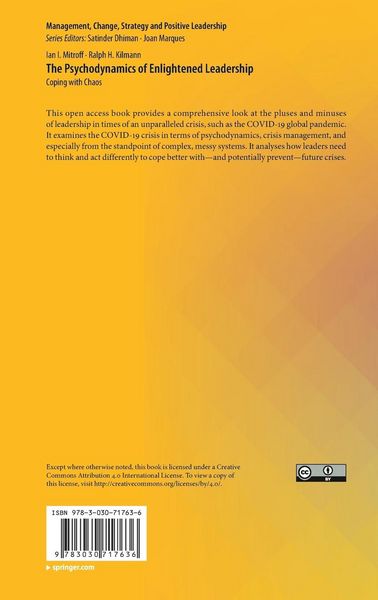 Produktbild: The Psychodynamics of Enlightened Leadership