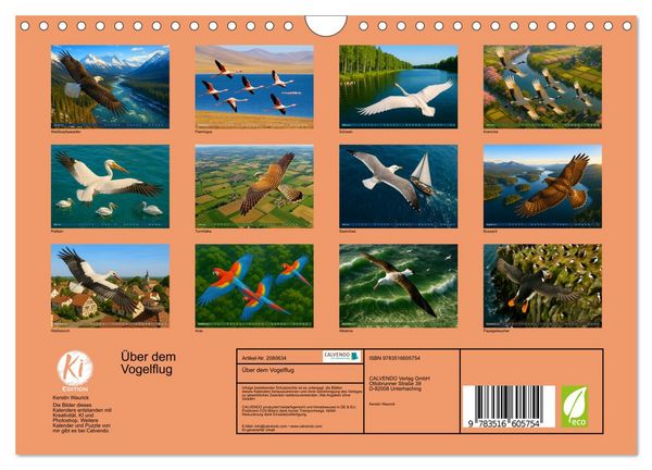 Produktbild: &Uuml;ber dem Vogelflug (Wandkalender 2026 DIN A4 quer), CALVENDO Monatskalender