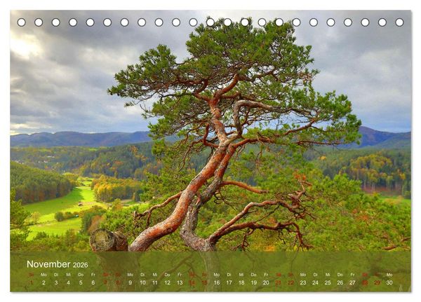 Produktbild: Wanderparadies S&uuml;dpfalz (Tischkalender 2026 DIN A5 quer), CALVENDO Monatskalender