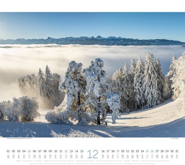 Produktbild: Wald Kalender 2027