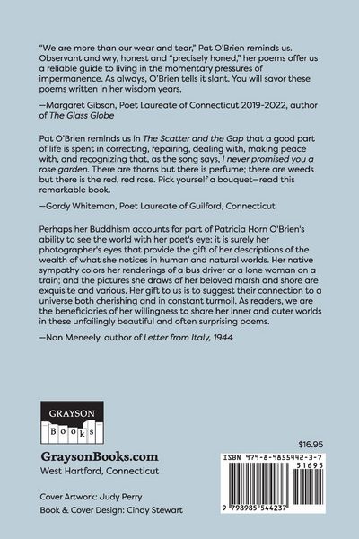 Produktbild: The Scatter and the Gap